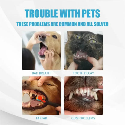 Soft Bristle Cat Toothbrush – Gentle Pet Dental Care Brush for Cats