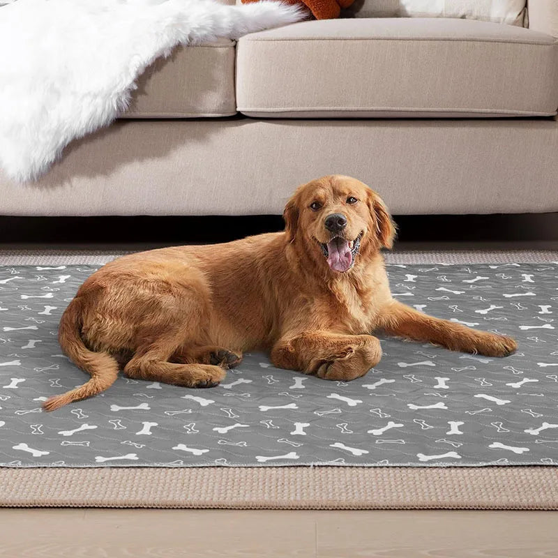 Reusable Dog Pee Pad Waterproof Diaper Pet Supplies Washable Puppy Training Pad Pet Bed Blanket Cat Dog Car Seat Cover Mat