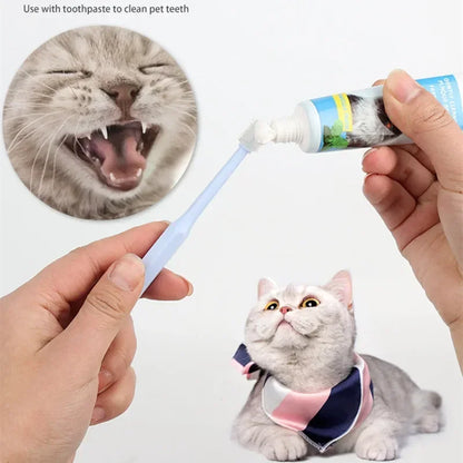 Soft Bristle Cat Toothbrush – Gentle Pet Dental Care Brush for Cats