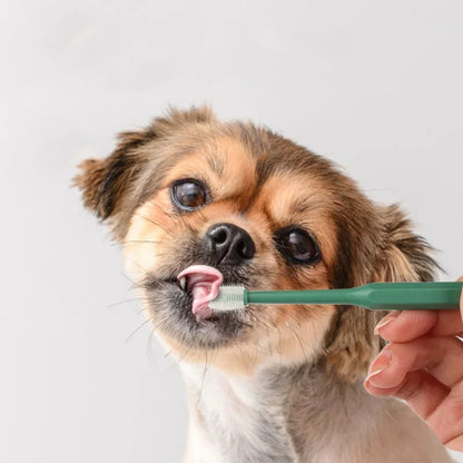 Soft Bristle Cat Toothbrush – Gentle Pet Dental Care Brush for Cats